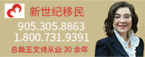 Wang Wen Shi